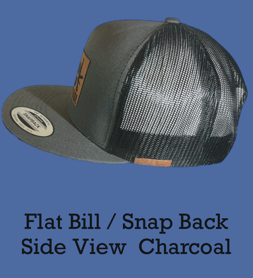 F*ck Gun Control Flat Bill Hat - Black Eagle Apparel